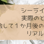 シーライクスの実際のところ！入会して１か月後の感想やリアルな実情